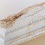 possibility of a water leak