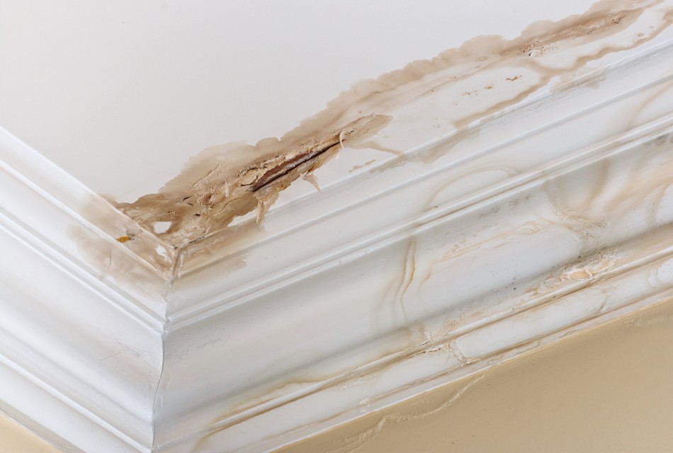 Read more about the article Indicates the possibility of a water leak.