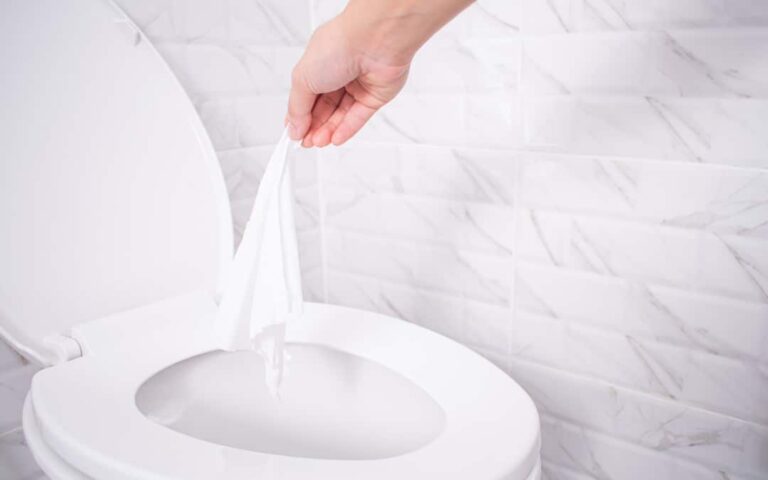 Read more about the article Are Flushable Wipes Harming Your Plumbing? – A Guide for Ahmedabad Homes