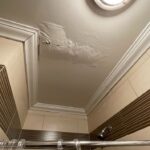 Water Leak