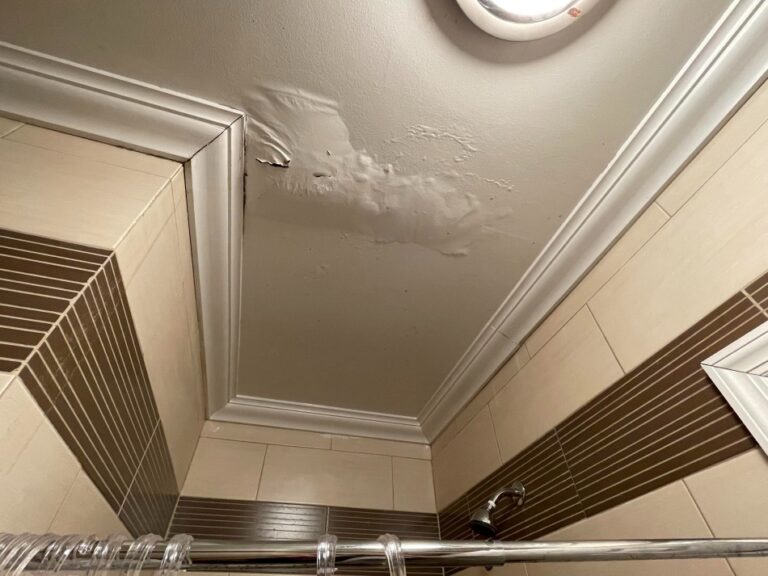 Read more about the article Signs You Might Have a Water Leak