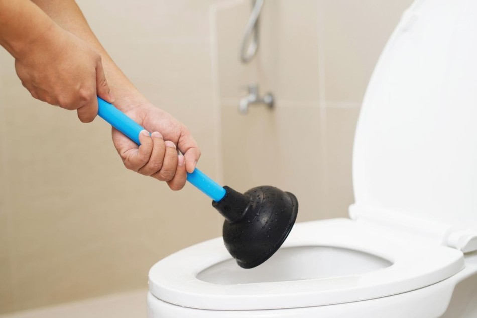 Read more about the article Pro Plumbers Outline 2 Common Toilet Issues