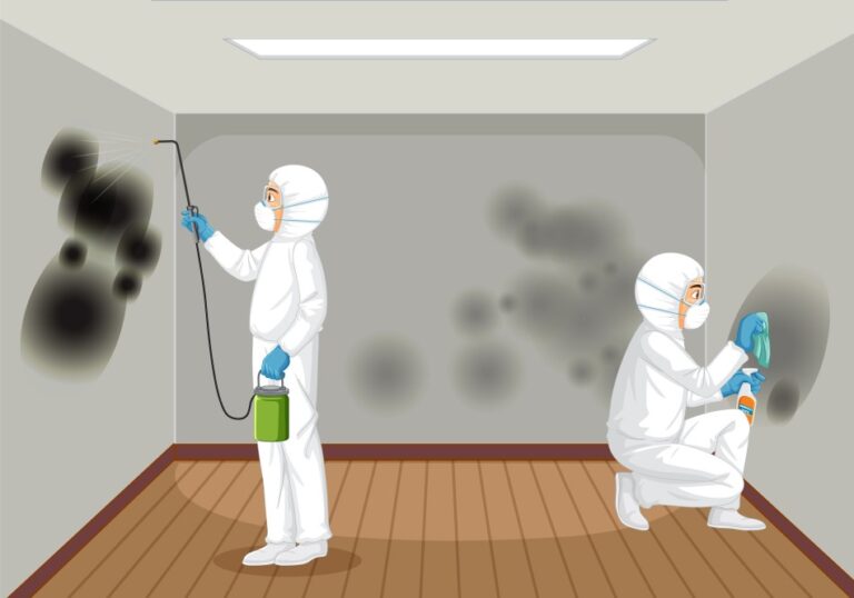 Read more about the article Best Way to Remove Mould from a Bathroom or Kitchen