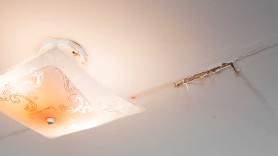 You are currently viewing What to Do When Water Is Leaking from Your Light Fixture