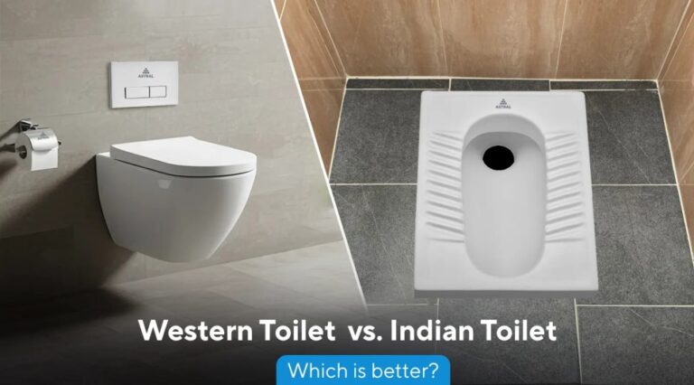 Read more about the article Western Toilets vs. Indian Toilets: Which Suits Your Needs Best?